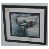 Art life on rock picture 16x13 SIGNED