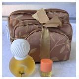 New Cosmetic Bag and New Perfume Lot