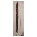 Real authentic Snake skin with head