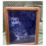 Cute owl picture -Wall art