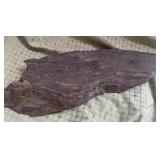 Large petrified wood - very heavy