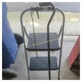 Step Stool and Adjustable Cane