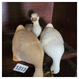 Ducks