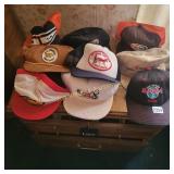 Illini Ball Hat, Golf Corse Ball Hats