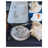 Enamel Pan, Shells