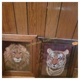 Tiger and Lion Pictures