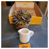 Little Cute Succulent, Vtg Creamer