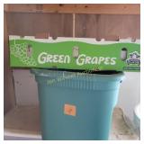 Tote and Water Filter