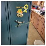 Sentry Gun Safe, combo, Measurements 59'x21'x16