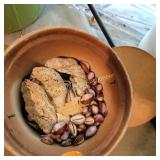 Shells in a bucket