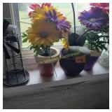 Beautiful Waterless Flowers