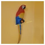 Parrot for the Wall