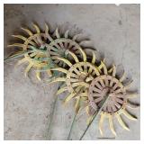 Rotary Hoe Sunflowers