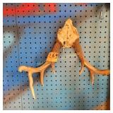 Antlers