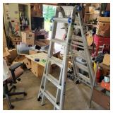 Werner Adjustable Ladder