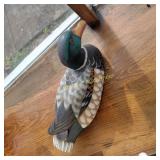 duck