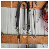 Bungee straps