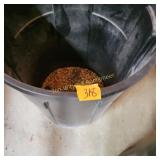 Trash can with bird seed