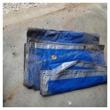 Tarp