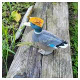 Duck