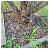Vtg garden tiller