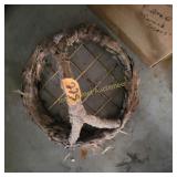 Cool basket