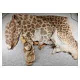 Giraffe Pelt.