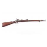 Springfield 1873 