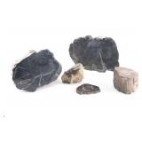 Array of Black Petrified Wood.