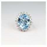 Brilliant ï¿½Santa Mariaï¿½ Aquamarine and Diamond