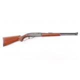 Sears Model 5M .22 Mag #176385