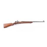 Springfield M2 22 LR NVSN