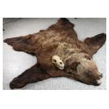Alaskan Brown Bear Rug w/ Skull.