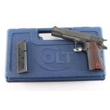 Colt Government Model .45 ACP #73B6134