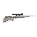 Ruger 10/22 .22 LR. #251-31317