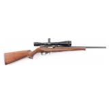 Ruger 10/22 .17 HM2 #120-68155