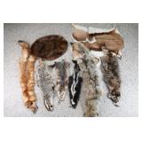Lot of 9 hides