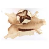 Springbuck Hide and Pillow