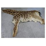 Giraffe Hide