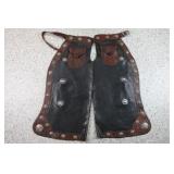 Pair of Fancy Bat Wing Chaps