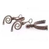 South American Snake Bit and Spur