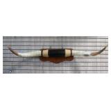 Steer Horn Mount