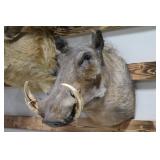 Warthog Mount