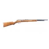 Stevens Bolt Action .22 S/L/LR NVSN
