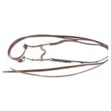 Western Long Skank Bit/Bridle
