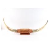 Mounted Longhorn