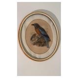 Vintage oval, framed print of a Burmese roller,