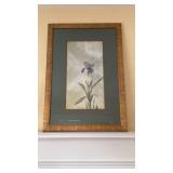 Large Eugene B Smith Iris print , one single