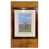 Framed Joanne R Happ, apple tree print, titled