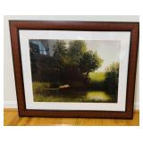 Large framed print pig diving into a pond